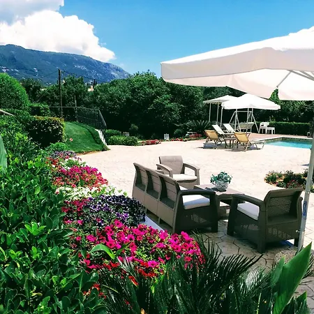 Summer Nights Ипсос