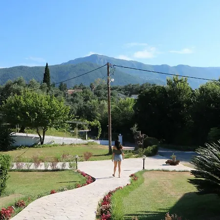 Summer Nights Feriested