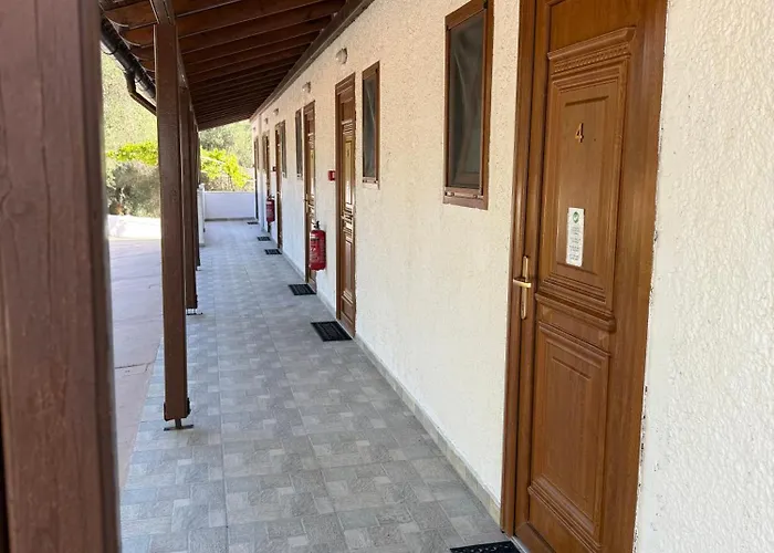 Summer Nights Complex Ipsos