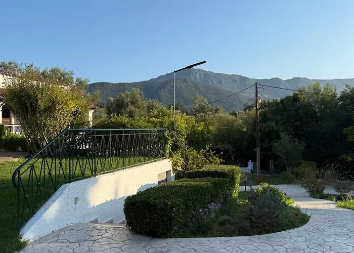 Complex Summer Nights Ipsos