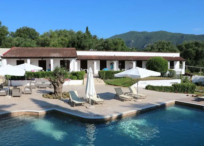 Summer Nights 阿普索斯