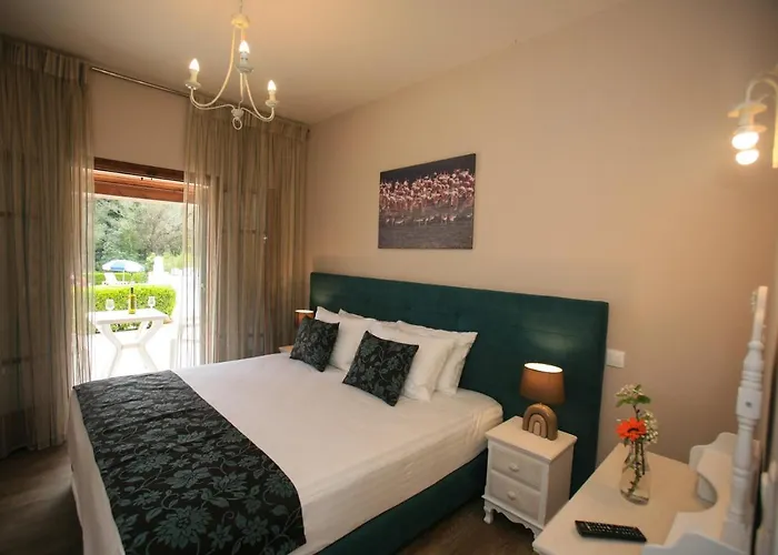 Complex Summer Nights Ipsos